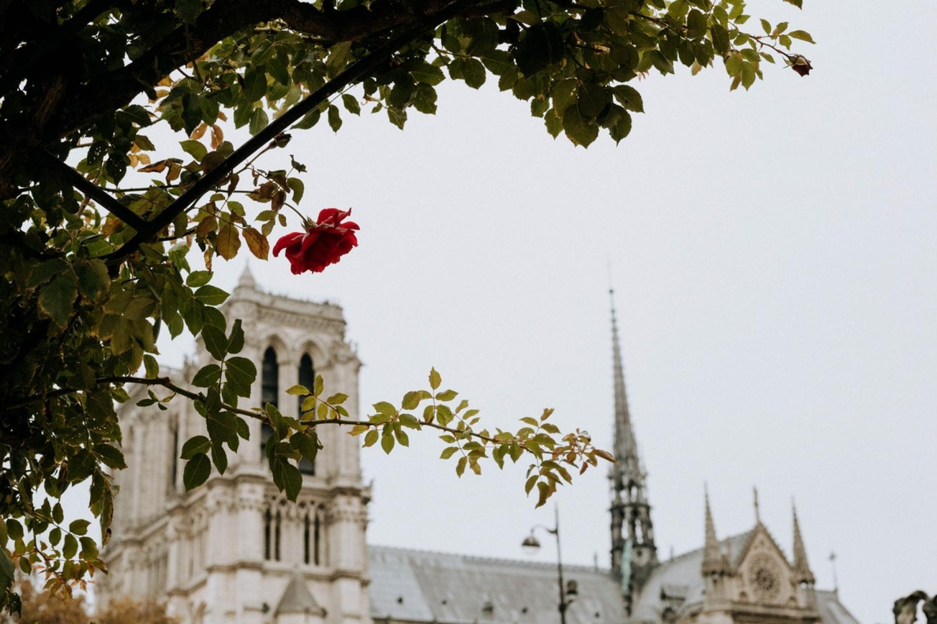 Notre-Dame Cathedral, a living witness to 850 years of history