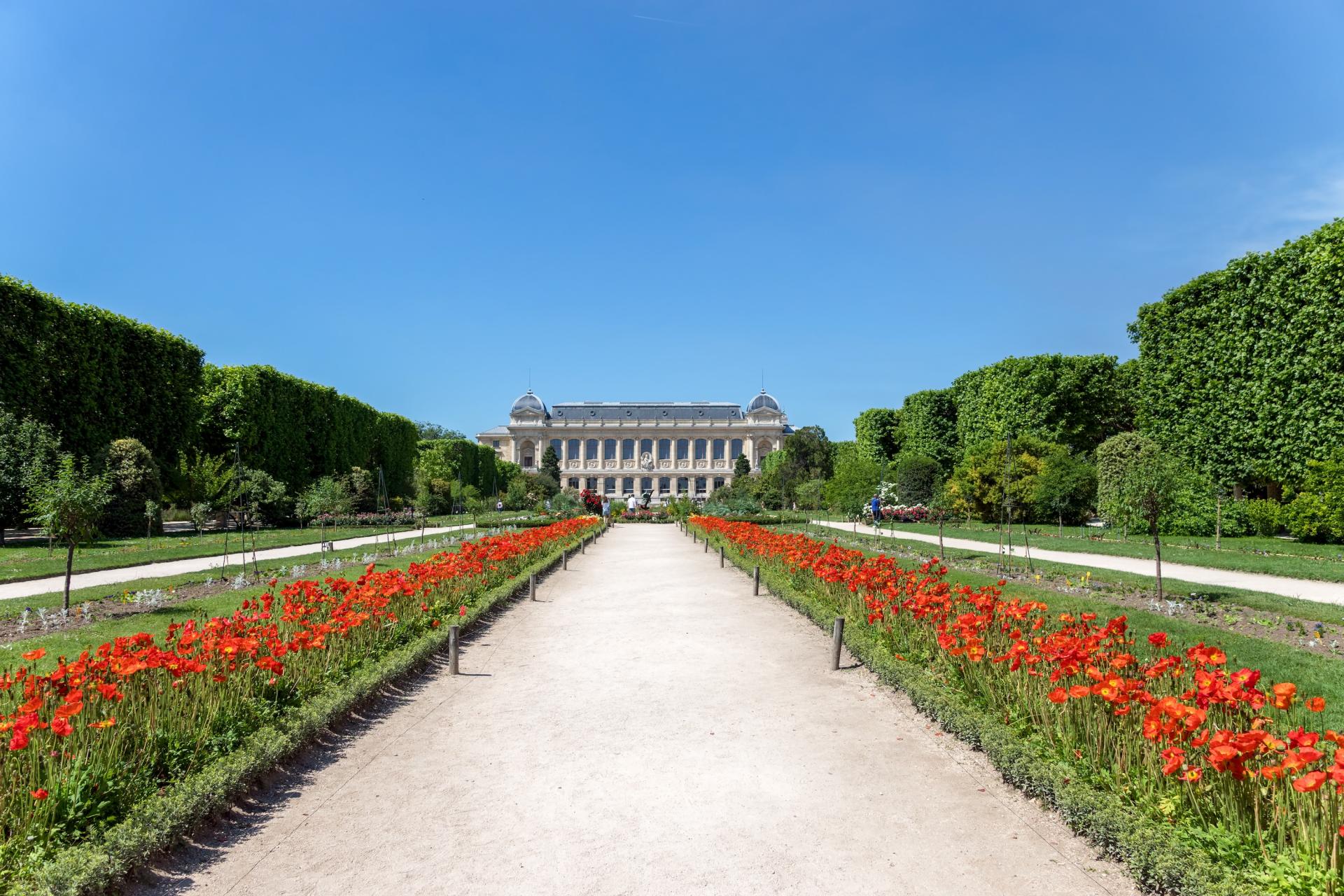 Découvertes et Émerveillement au Jardin des Plantes de Paris